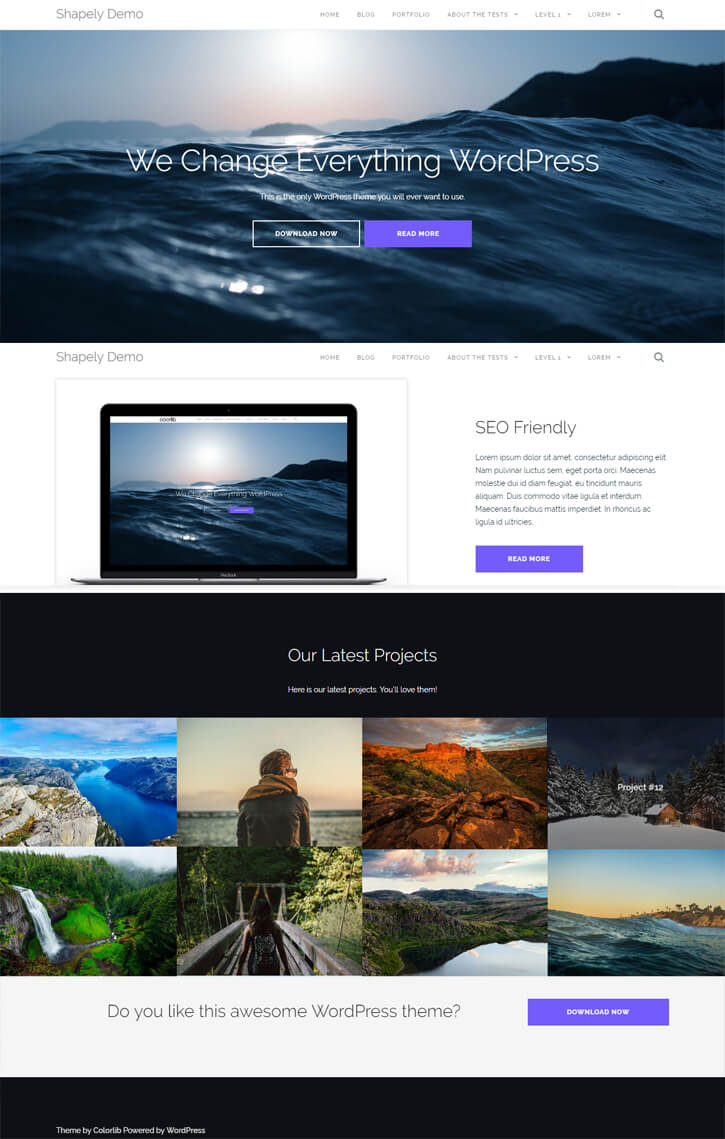 shapely wp theme