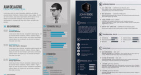 free biodata design template