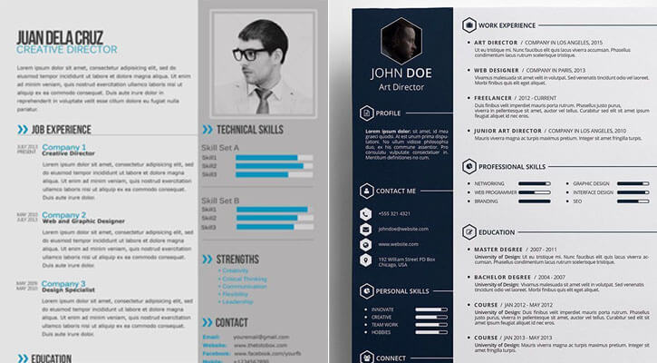 free biodata design template