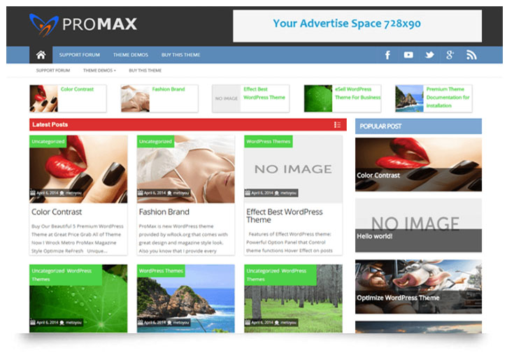 promax theme