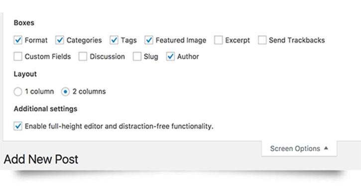screen options post edit