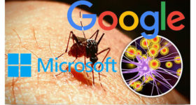 google and microsoft