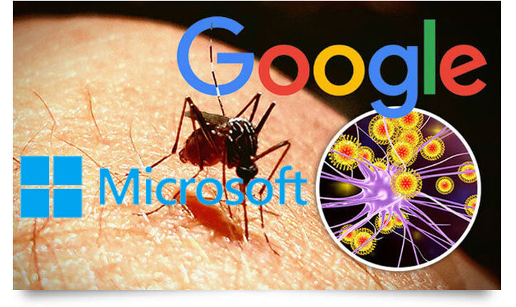 google and microsoft