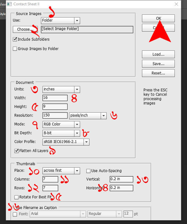 automate contact sheet setting