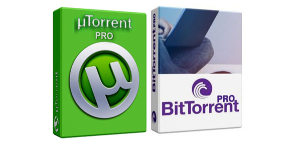 pro torrent