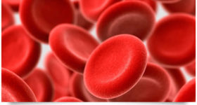 hemoglobin in blood