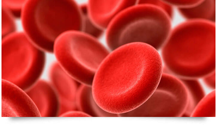 hemoglobin in blood