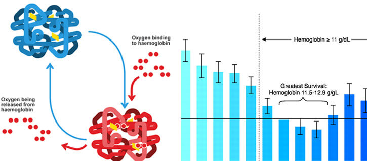 hemoglobin levels in blood