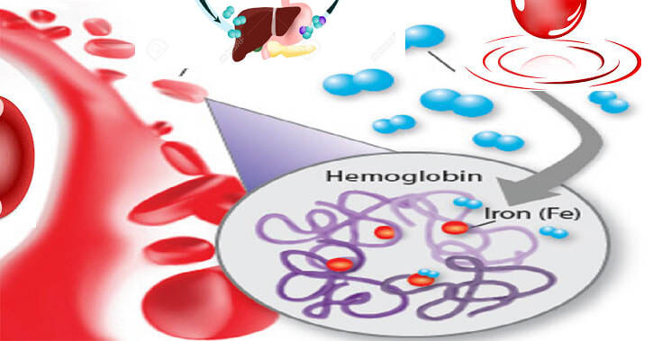 hemoglobin in blood