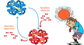 lack of himoglobin