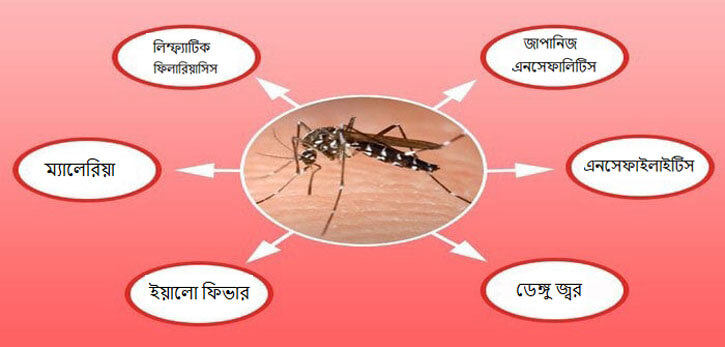 diseases from mosquito