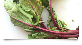 Beet Greens