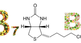 ভিটামিন বি৭