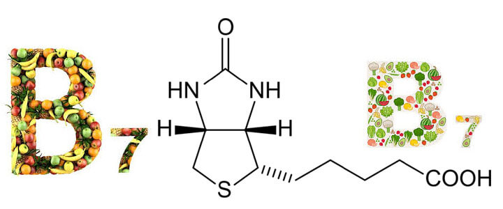 ভিটামিন বি৭