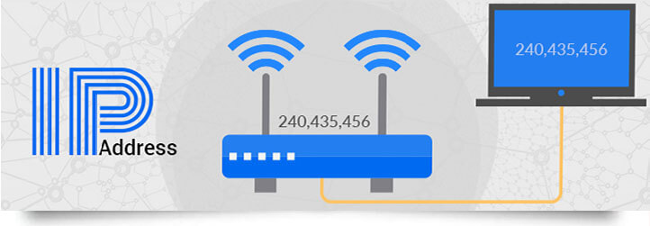 IP Address