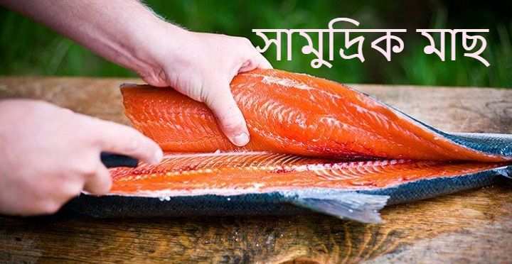 সামুদ্রিক মাছের উপকারিতা
