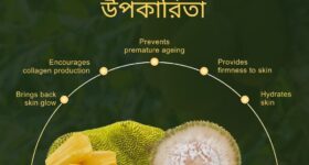 কাঁঠালের স্বাস্থ্য উপকারিতা