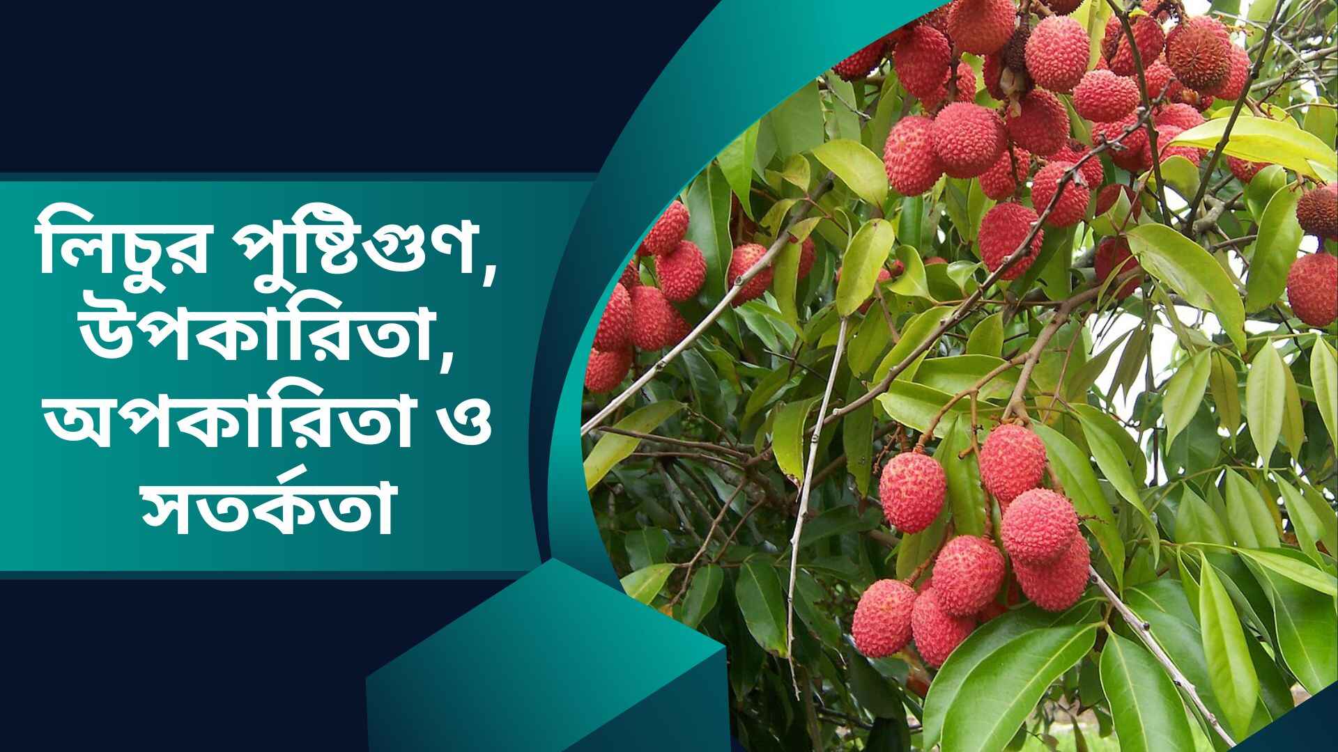 লিচুর পুষ্টিগুণ, উপকারিতা, অপকারিতা